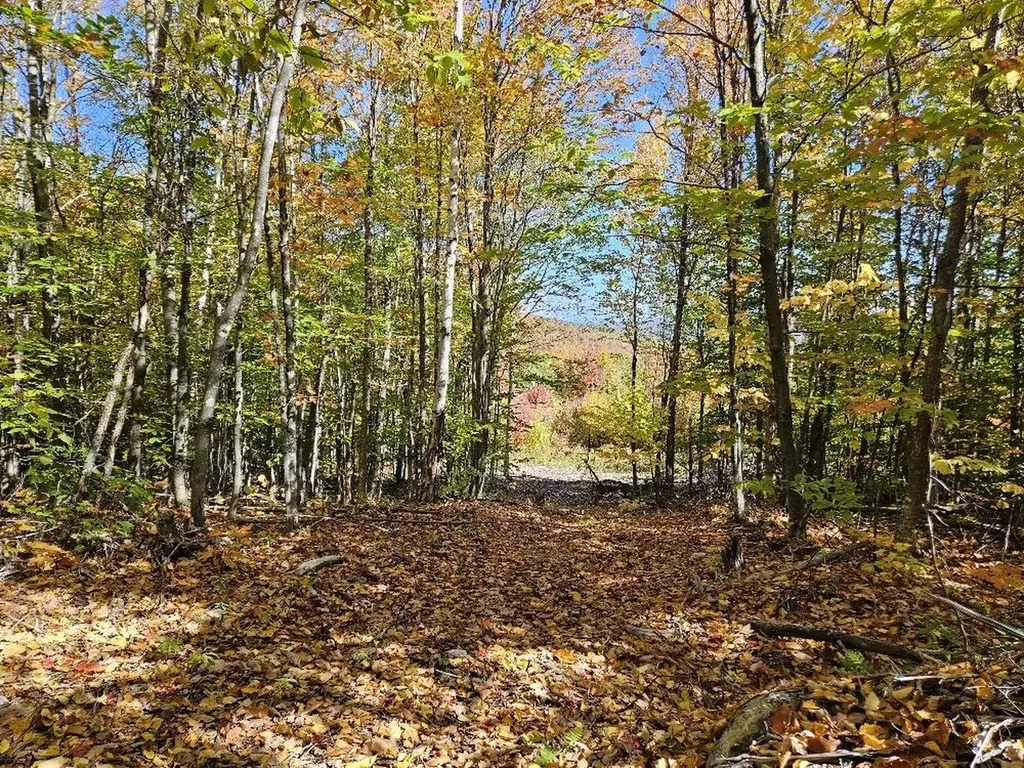 Lot 9 E Moose Alley Road Temple ME 04984