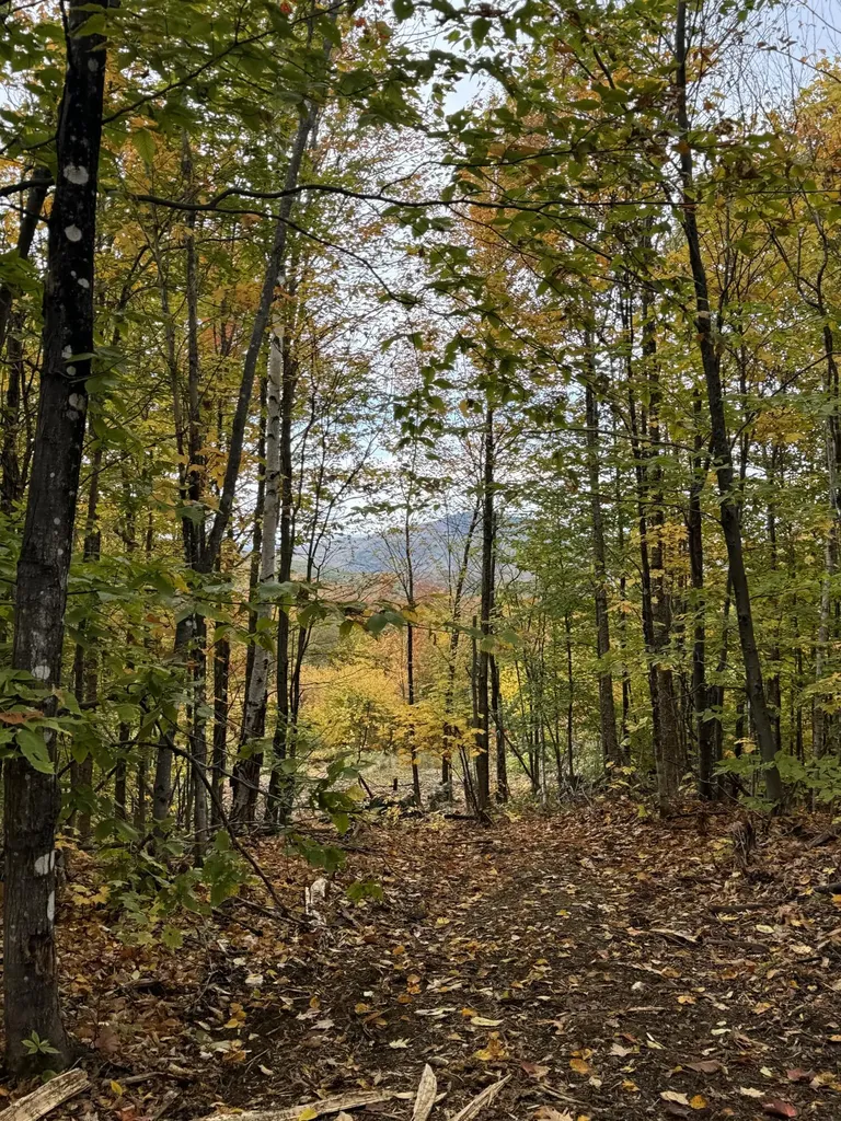 Lot 9 E Moose Alley Road Temple ME 04984
