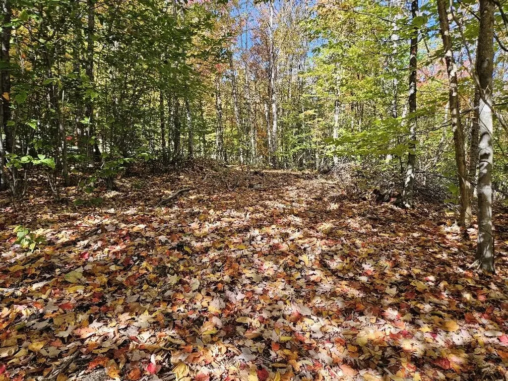 Lot 9 E Moose Alley Road Temple ME 04984