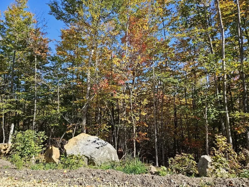 Lot 9 E Moose Alley Road Temple ME 04984