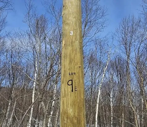 Lot 9 E Moose Alley Road Temple ME 04984
