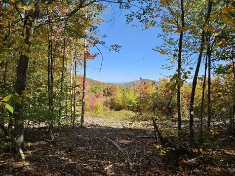 Lot 9 E Moose Alley Road Temple ME 04984