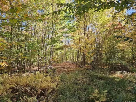 Lot 9 E Moose Alley Road Temple ME 04984