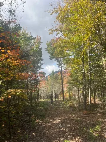 Lot 9 E Moose Alley Road Temple ME 04984