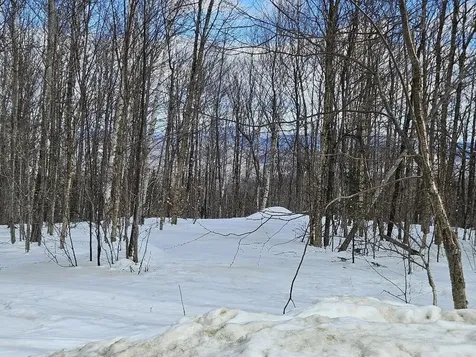Lot 9 E Moose Alley Road Temple ME 04984