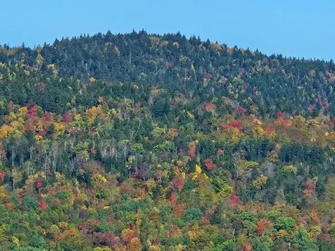Lot 9 E Moose Alley Road Temple ME 04984