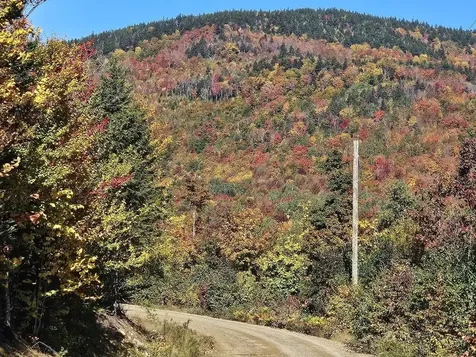 Lot 9 E Moose Alley Road Temple ME 04984