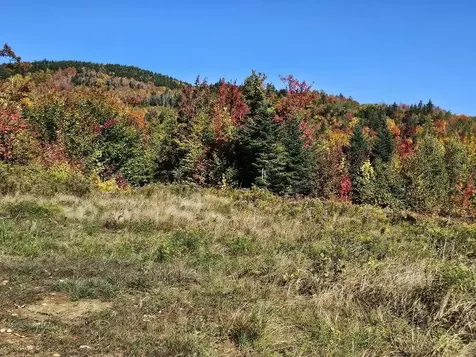 Lot 9 E Moose Alley Road Temple ME 04984