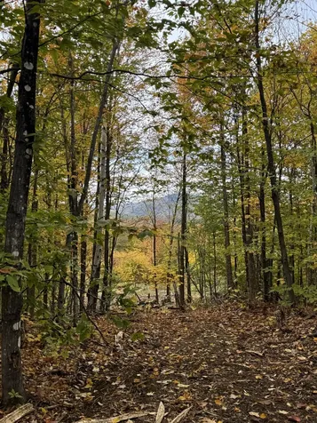 Lot 9 E Moose Alley Road Temple ME 04984