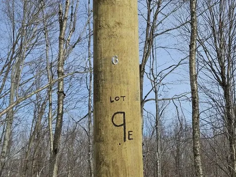 Lot 9 E Moose Alley Road Temple ME 04984
