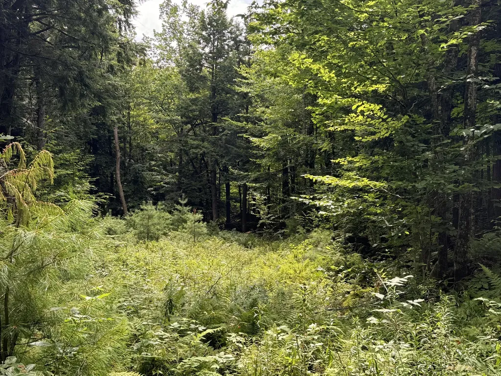 105 Poplar Point Road Mount Vernon ME 04352