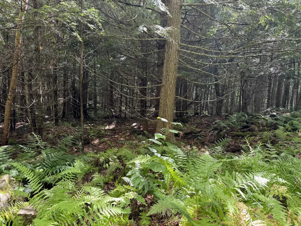 105 Poplar Point Road Mount Vernon ME 04352