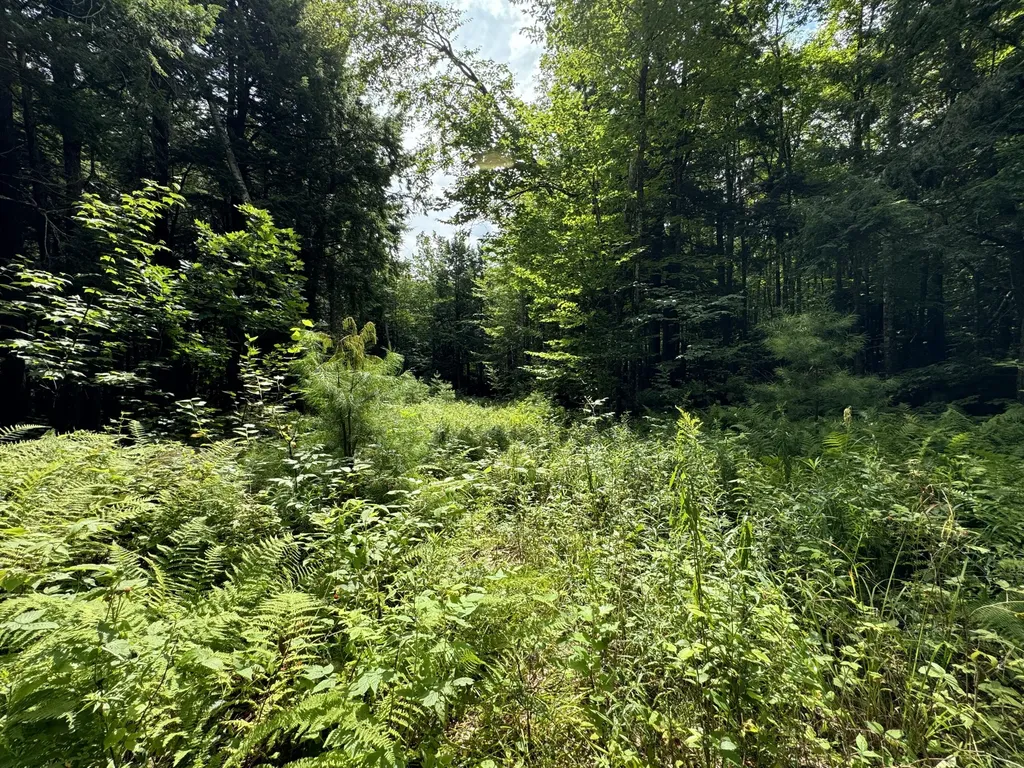 105 Poplar Point Road Mount Vernon ME 04352