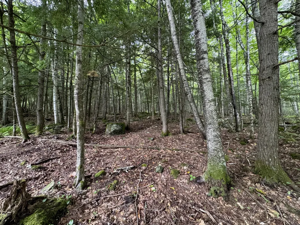 105 Poplar Point Road Mount Vernon ME 04352