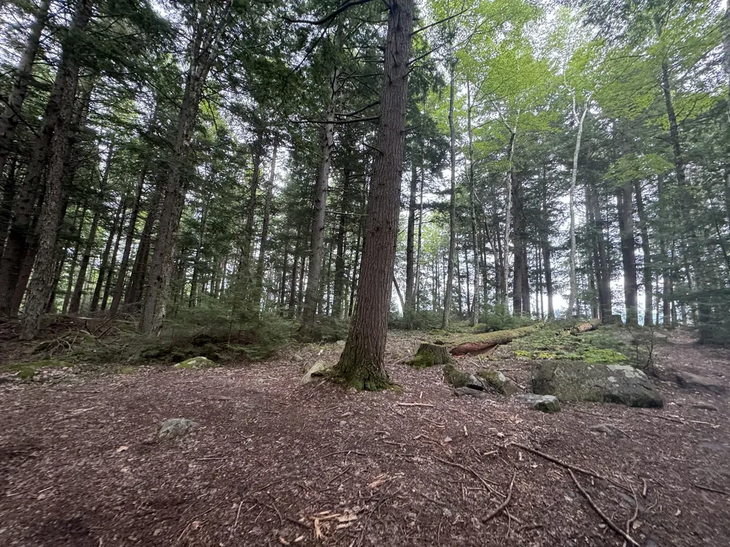105 Poplar Point Road Mount Vernon ME 04352
