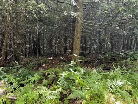 105 Poplar Point Road Mount Vernon ME 04352