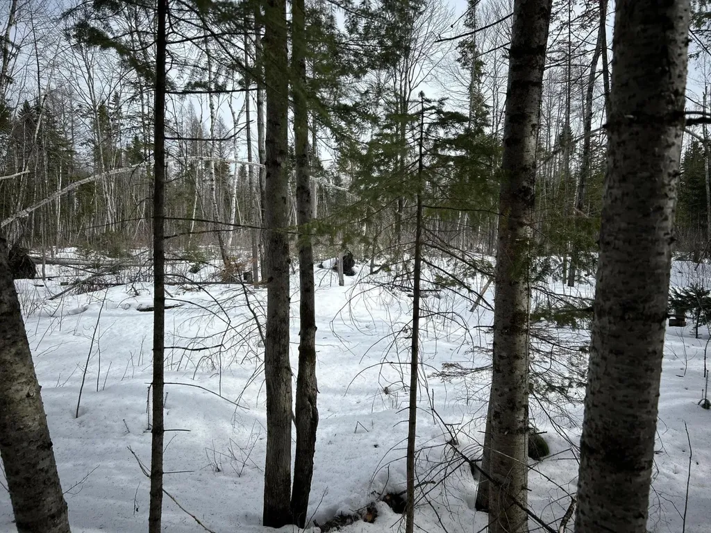 04-45.10,0 East Jemtland Road Connor Twp ME 04736