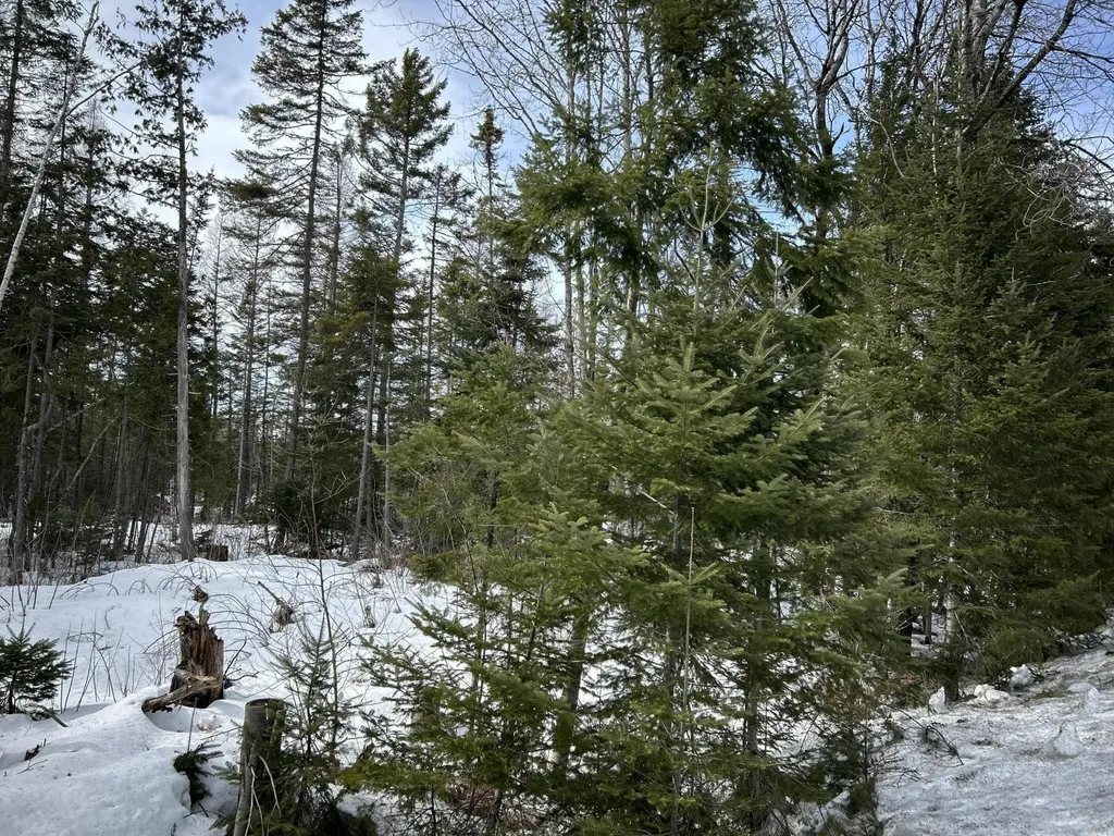 04-45.10,0 East Jemtland Road Connor Twp ME 04736