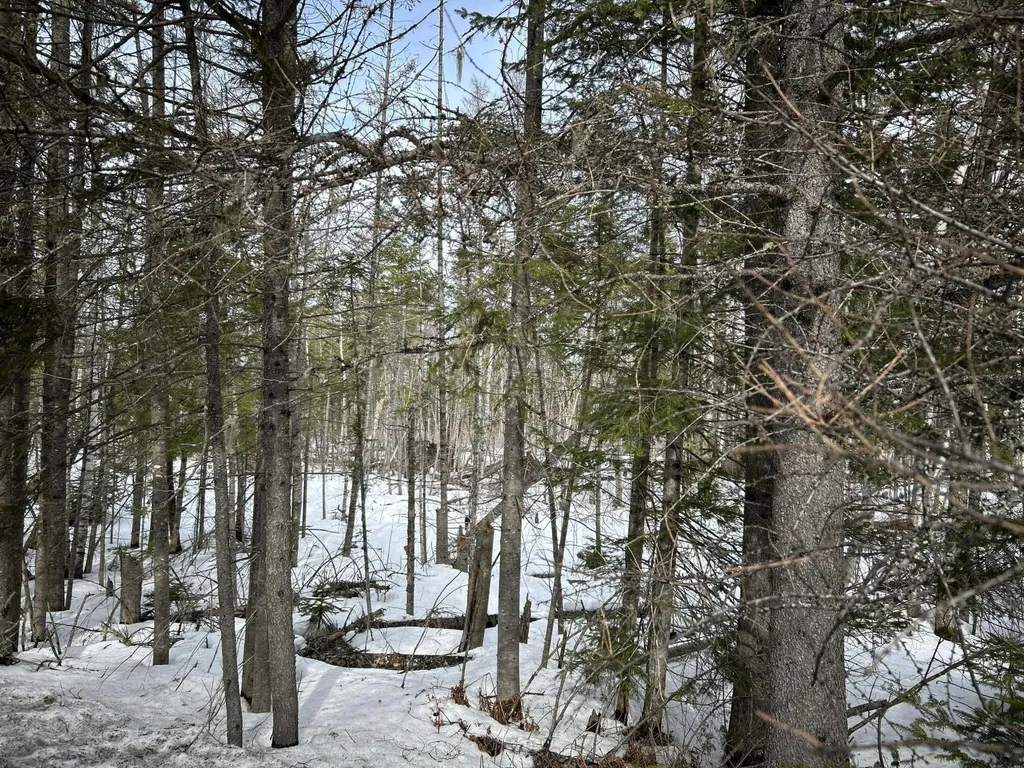 04-45.10,0 East Jemtland Road Connor Twp ME 04736