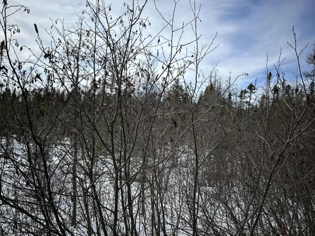 04-45.10,0 East Jemtland Road Connor Twp ME 04736