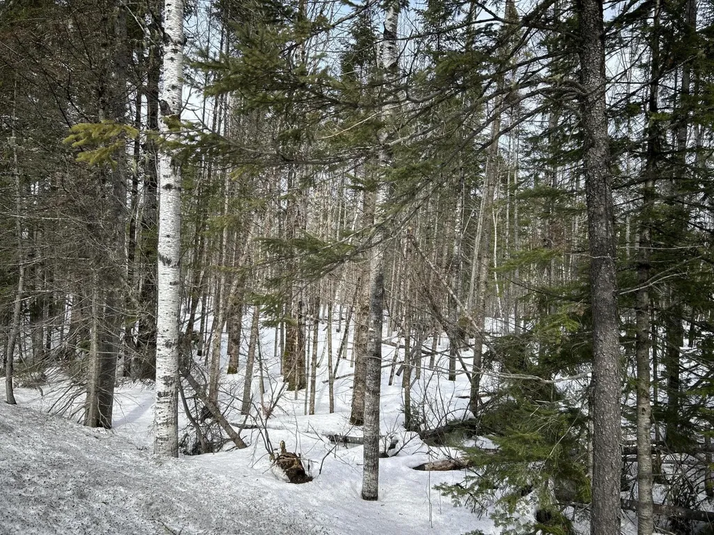 04-45.10,0 East Jemtland Road Connor Twp ME 04736
