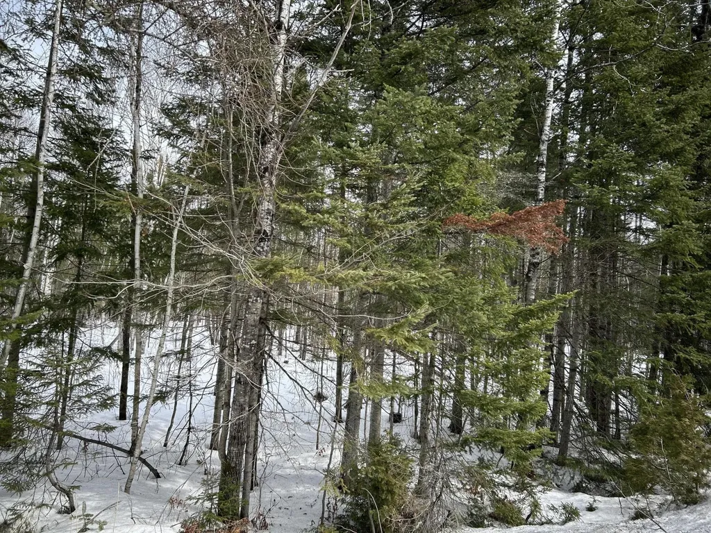 04-45.10,0 East Jemtland Road Connor Twp ME 04736
