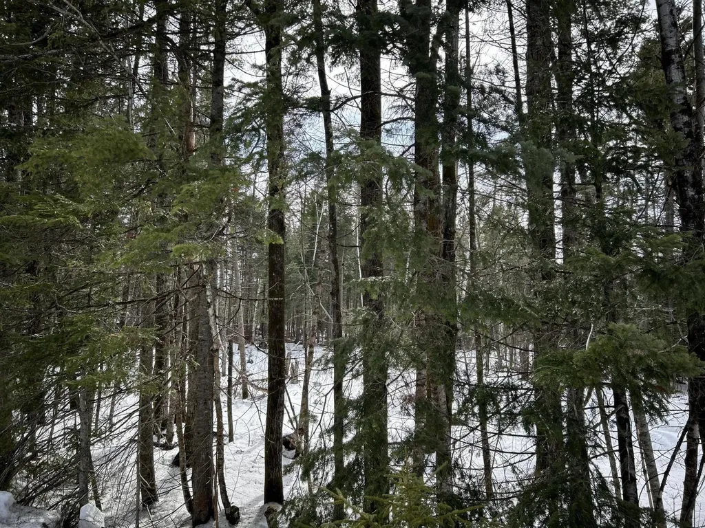 04-45.10,0 East Jemtland Road Connor Twp ME 04736