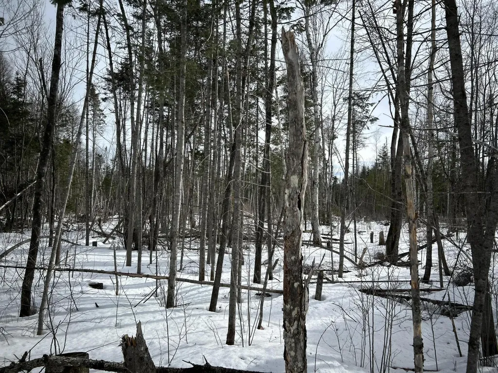 04-45.10,0 East Jemtland Road Connor Twp ME 04736