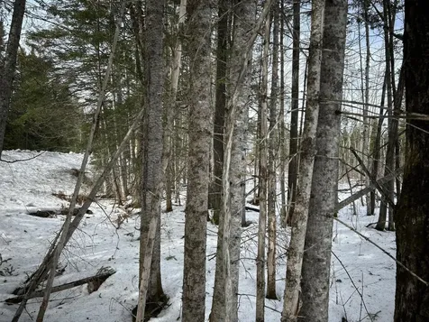 04-45.10,0 East Jemtland Road Connor Twp ME 04736