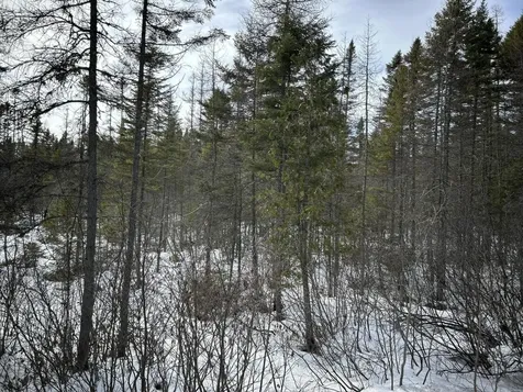 04-45.10,0 East Jemtland Road Connor Twp ME 04736