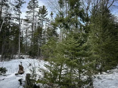 04-45.10,0 East Jemtland Road Connor Twp ME 04736