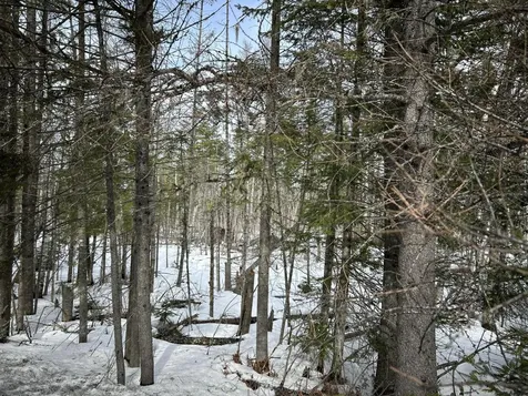 04-45.10,0 East Jemtland Road Connor Twp ME 04736