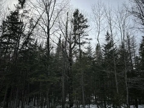 04-45.10,0 East Jemtland Road Connor Twp ME 04736