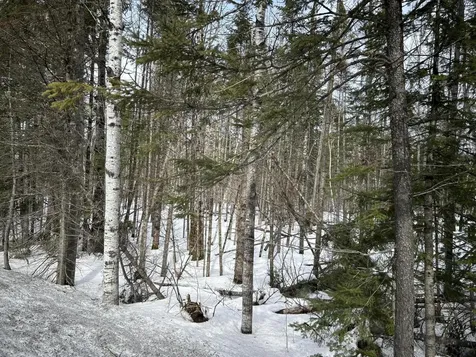 04-45.10,0 East Jemtland Road Connor Twp ME 04736