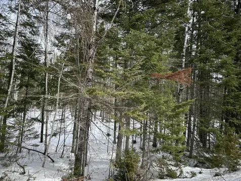 04-45.10,0 East Jemtland Road Connor Twp ME 04736
