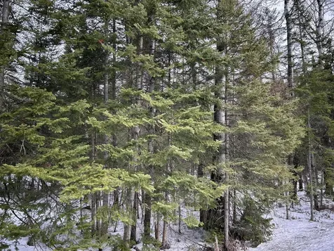 04-45.10,0 East Jemtland Road Connor Twp ME 04736