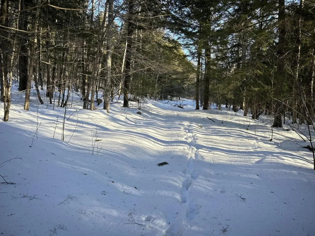 M7L22,L31 Nelson Ridge Road N Washington ME 04574