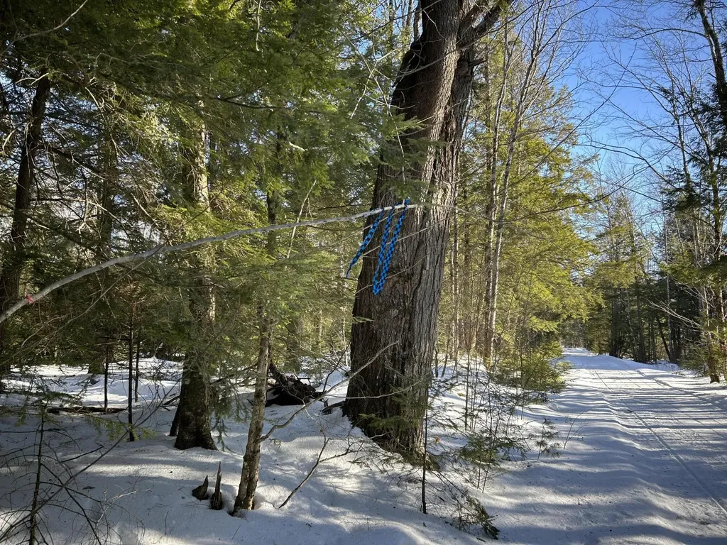 M7L22,L31 Nelson Ridge Road N Washington ME 04574