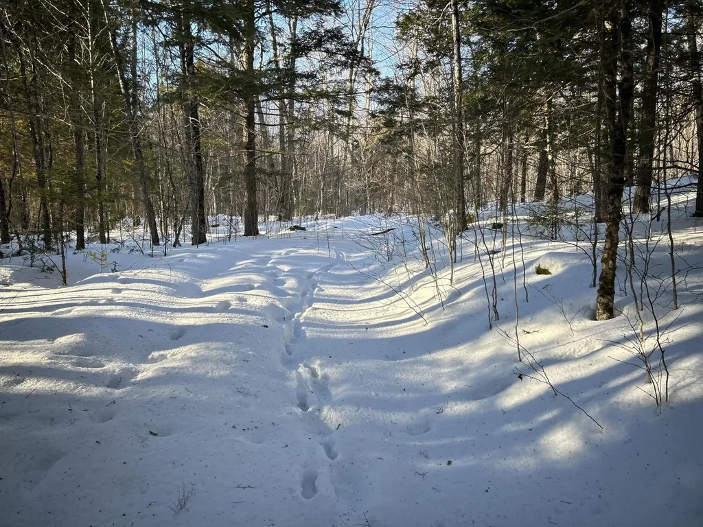 M7L22,L31 Nelson Ridge Road N Washington ME 04574