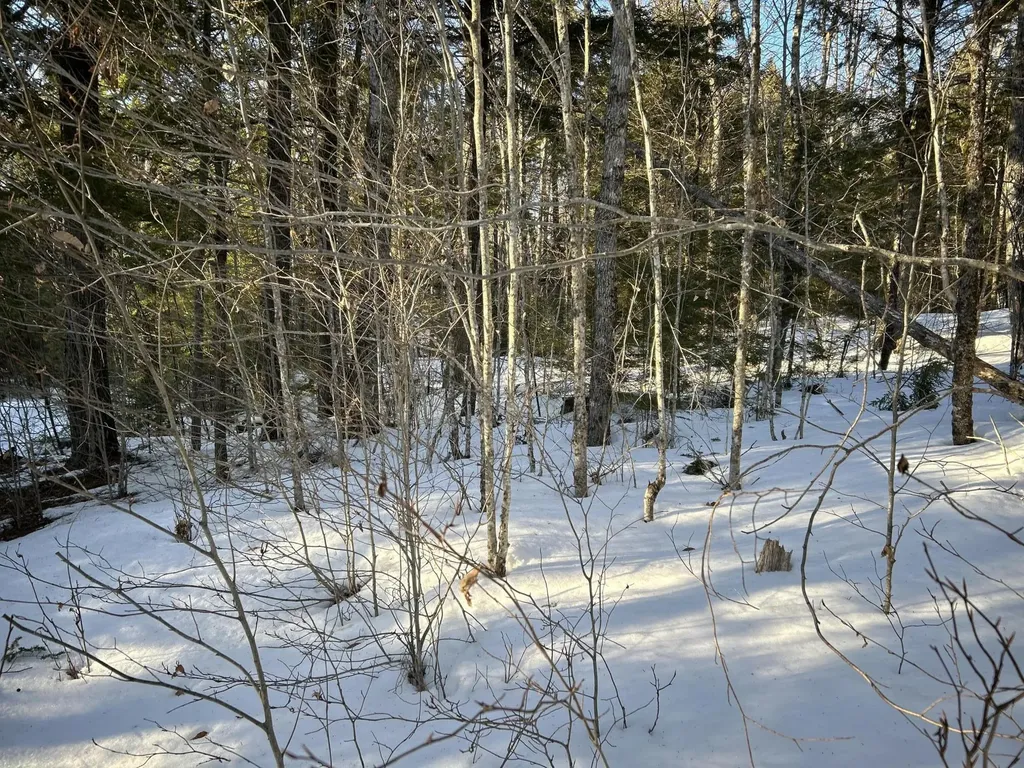 M7L22,L31 Nelson Ridge Road N Washington ME 04574