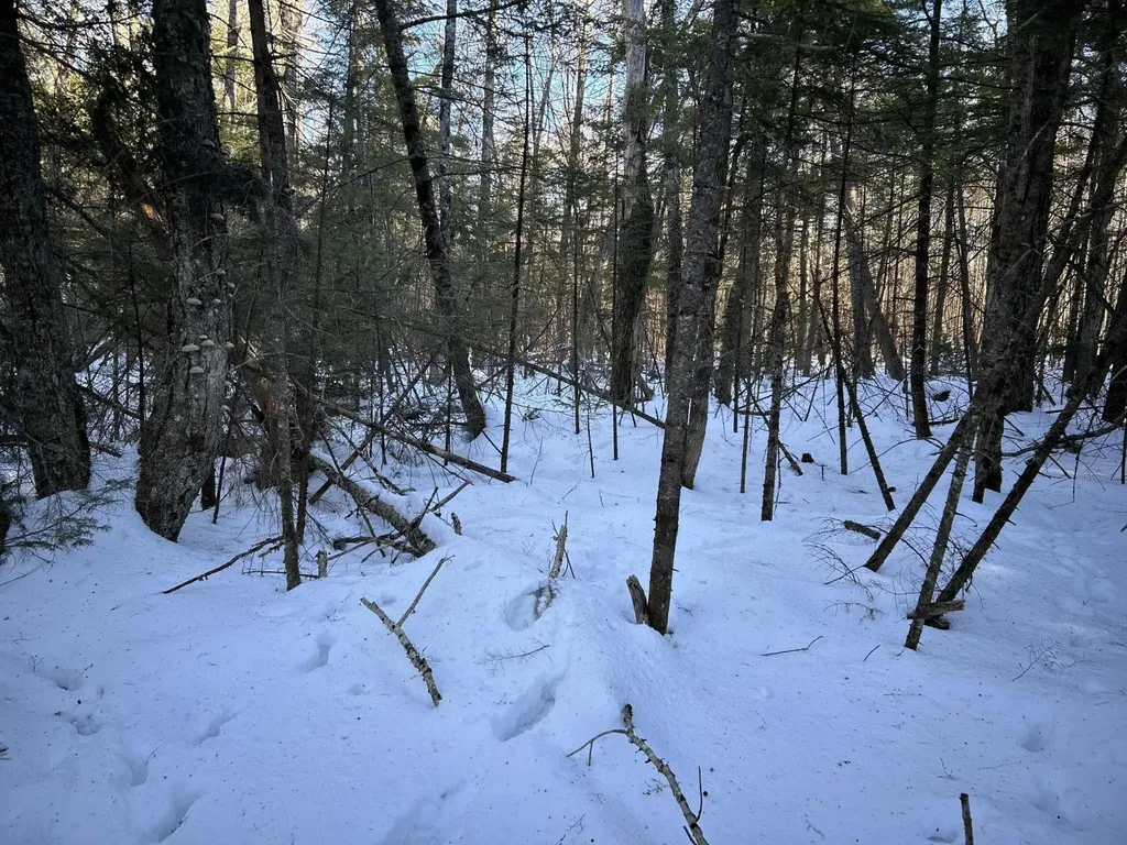 M7L22,L31 Nelson Ridge Road N Washington ME 04574