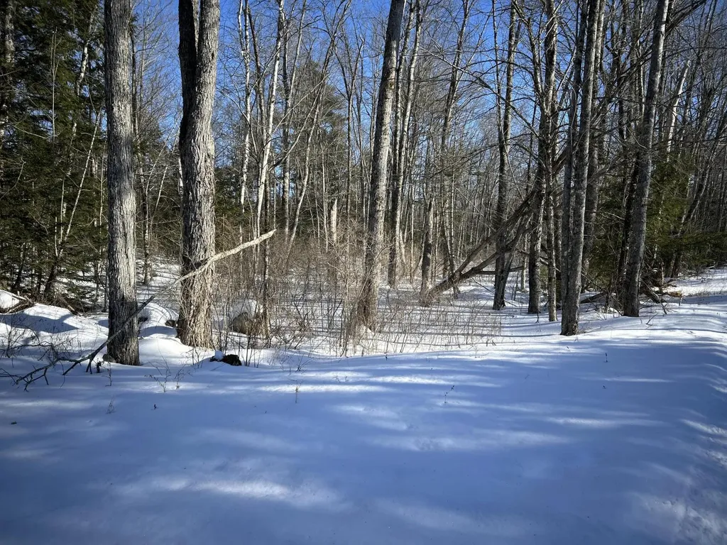 M7L22,L31 Nelson Ridge Road N Washington ME 04574