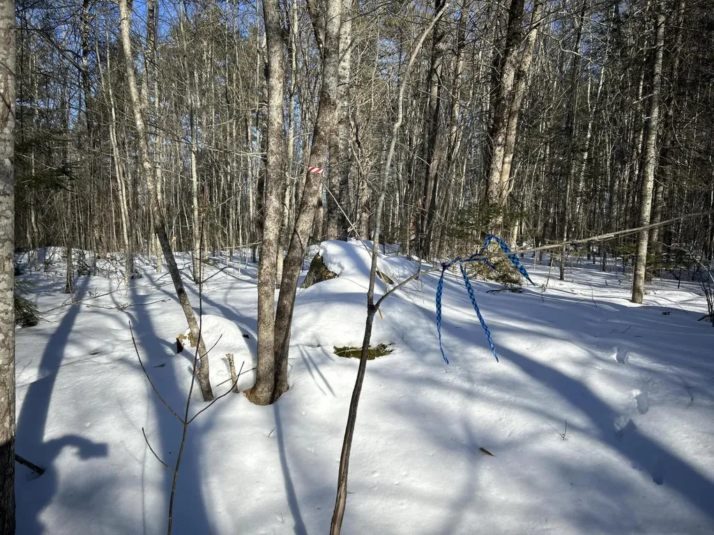 M7L22,L31 Nelson Ridge Road N Washington ME 04574