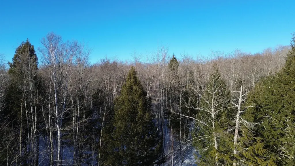 M7L22,L31 Nelson Ridge Road N Washington ME 04574