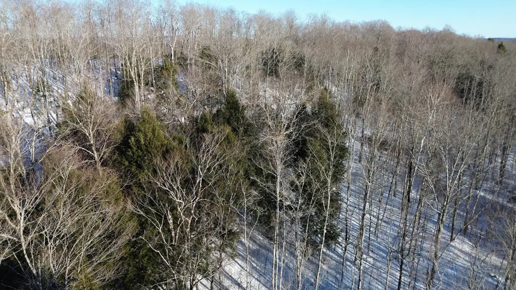 M7L22,L31 Nelson Ridge Road N Washington ME 04574
