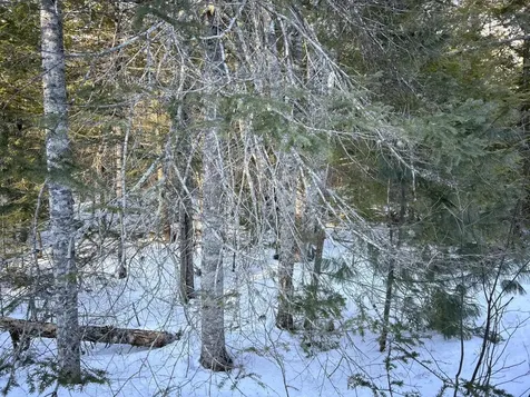 M7L22,L31 Nelson Ridge Road N Washington ME 04574