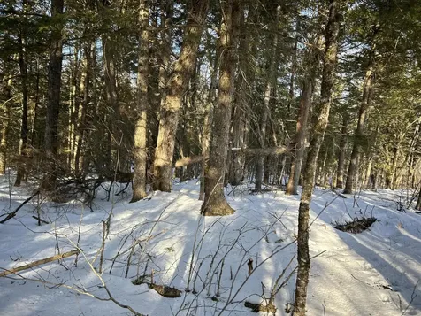 M7L22,L31 Nelson Ridge Road N Washington ME 04574