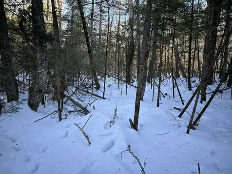 M7L22,L31 Nelson Ridge Road N Washington ME 04574