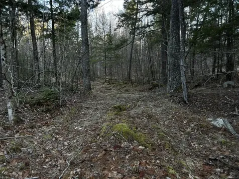 M7L22,L31 Nelson Ridge Road N Washington ME 04574