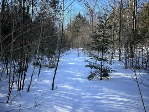 M7L22,L31 Nelson Ridge Road N Washington ME 04574
